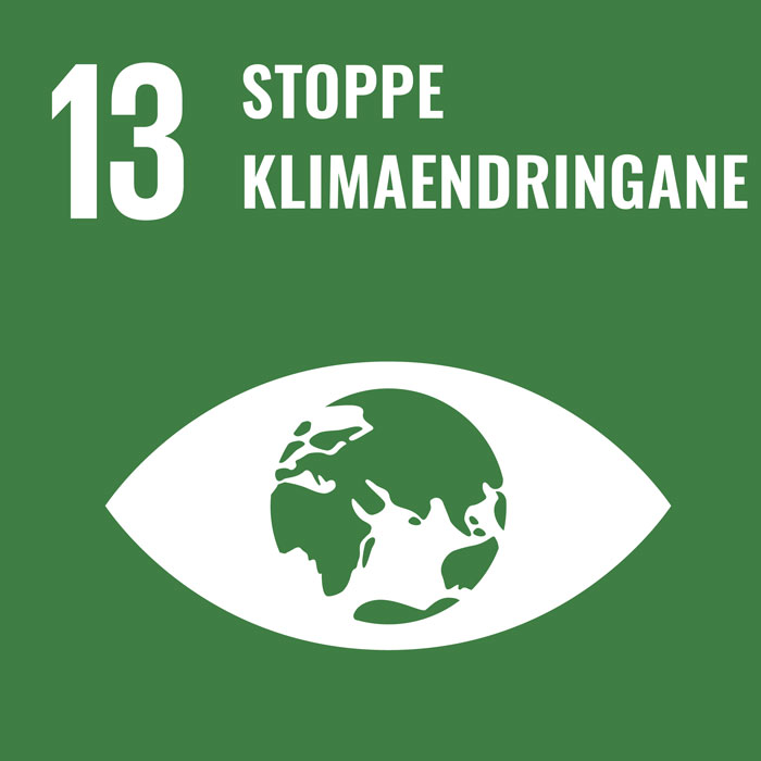 Mål 13: Stoppe klimaendringane